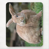 大きな耳を持つ可愛いジンジャーバニー マウスパッド (正面)