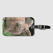 大きな耳を持つ可愛いジンジャーバニー ラゲッジタグ (正面横)