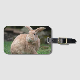 大きな耳を持つ可愛いジンジャーバニー ラゲッジタグ