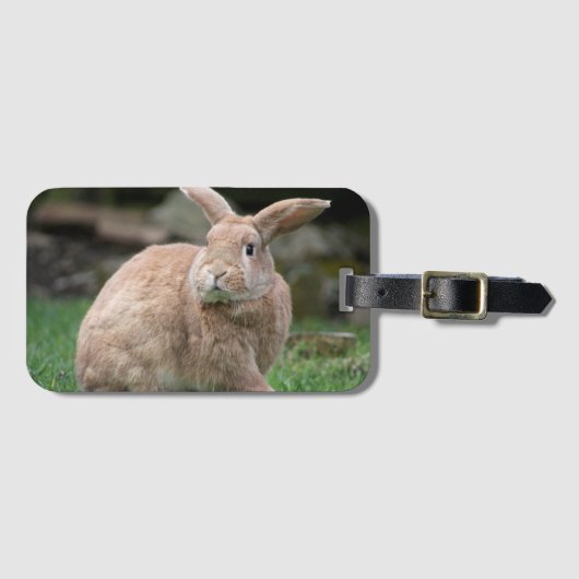 大きな耳を持つ可愛いジンジャーバニー ラゲッジタグ (正面横)