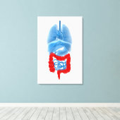 大きな臓器のX線画像 キャンバスプリント (インサイチュ (ウッドフロア))