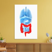 大きな臓器のX線画像 キャンバスプリント (インサイチュ (リビング))