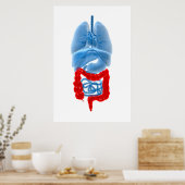 大きな臓器のX線画像 ポスター (キッチン)