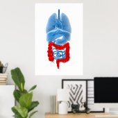 大きな臓器のX線画像 ポスター (ホームオフィス)