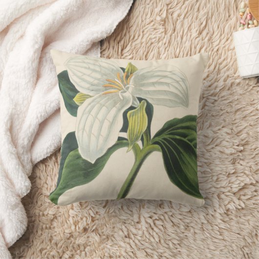 大きな花が咲くトリリウム クッション (ブランケット)
