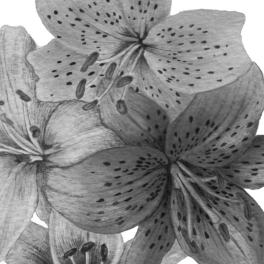 大きな花の模様の同時代黒と白 レギンス