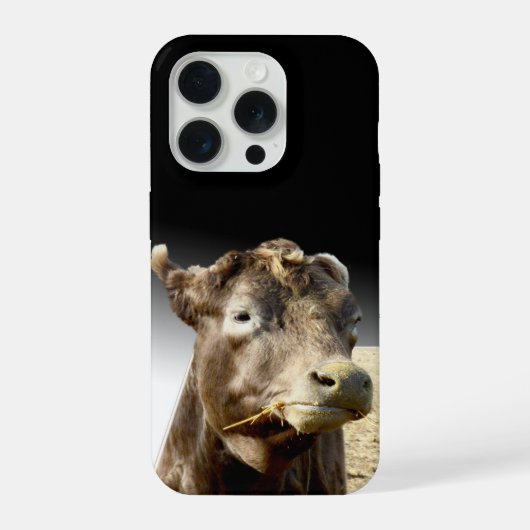 大きな茶色の牛が干し草を食べている、 iPhoneケース (裏面)