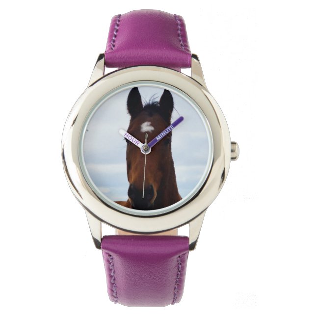 大きな茶色の馬、腕時計。 腕時計 (正面)