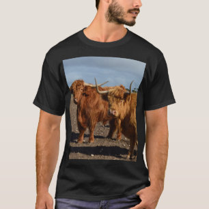 大きな茶色の高地の牛 Tシャツ
