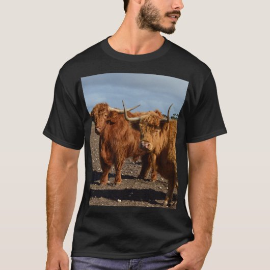 大きな茶色の高地の牛 Tシャツ (正面)