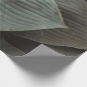 大きな葉 ラッピングペーパー (角)