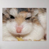 大きな視線 – Tac – ポスター (正面)