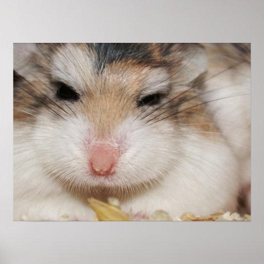 大きな視線 – Tac – ポスター (正面)