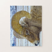 大きな角の羊モンタナ。 ジグソーパズル (縦)