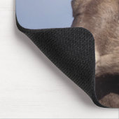 大きな角の羊、山の羊、オヴィス管腺症、 マウスパッド (コーナー)