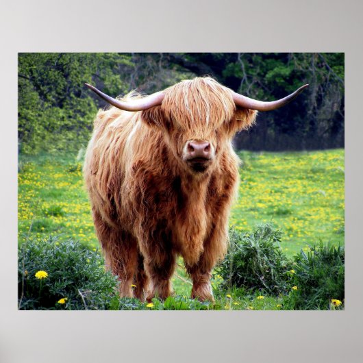 大きな角の美しい自然 ポスター (正面)