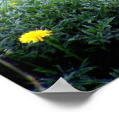 大きな角の美しい自然 ポスター (角)