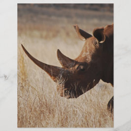 大きな角を持つアフリカの黒いサイ