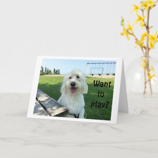 大きな話し犬が望むと言遊った?誕生日カード カード (黄色い花)