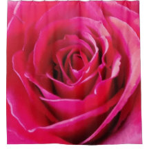 大きな赤いバラの写真