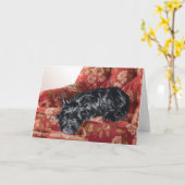 大きな赤い椅子にスコットランド人 カード (黄色い花)