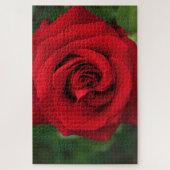 大きな赤独身の色が近くで上がった ジグソーパズル (縦)