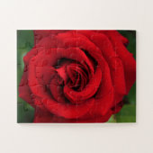 大きな赤独身の色が近くで上がった ジグソーパズル (横)