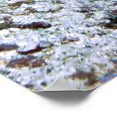 大きな醜いウナギ ポスター (角)