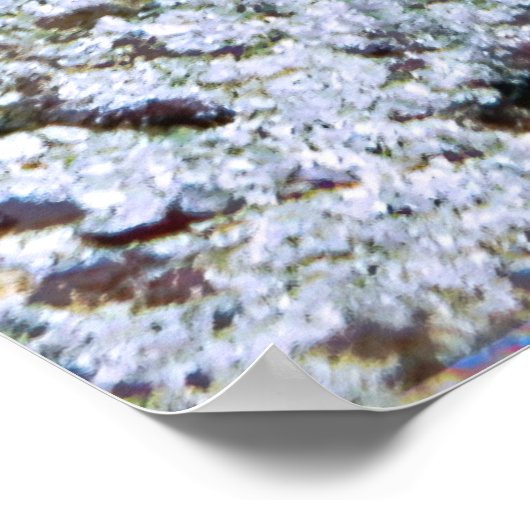 大きな醜いウナギ ポスター (角)