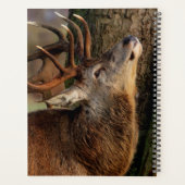 大きな金 プランナー手帳 (裏面)