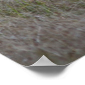 大きな降圧4ポインタ ポスター (角)