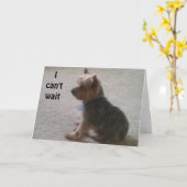 大きな願いを持つ小さな誕生日 カード (黄色い花)