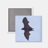 大きな飛んでいるこうもり マグネット (正面/裏面)