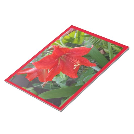 大きな鮮やかな赤い花を持つメモ帳 ノートパッド (アングル)