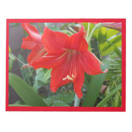 大きな鮮やかな赤い花を持つメモ帳 ノートパッド