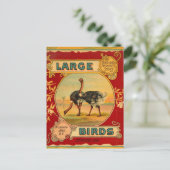 大きな鳥 ポストカード (スタンド正面)
