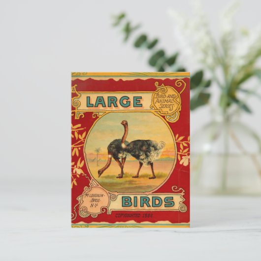 大きな鳥 ポストカード (スタンド正面)