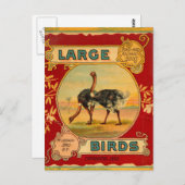 大きな鳥 ポストカード (正面/裏面)