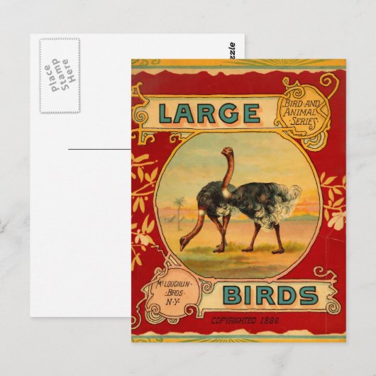 大きな鳥 ポストカード (正面/裏面)