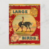 大きな鳥 ポストカード (正面)