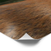 大きな鹿 ポスター (コーナー)