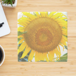 大きな黄色のひまわりフローラ ストーンコースター
