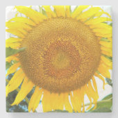 大きな黄色のひまわりフローラ ストーンコースター (正面)