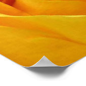 大きな黄色のバラ ポスター (角)