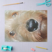 大きな黒い四角い鼻ティッシュとゴールデンドードル 薄葉紙 (クラフト)