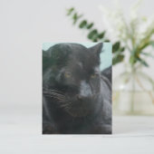 大きな黒のパンサー葉書 ポストカード (スタンド正面)