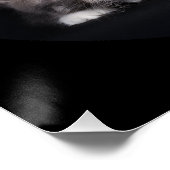 大きな黒猫と3匹の子猫がポーズ ポスター (コーナー)