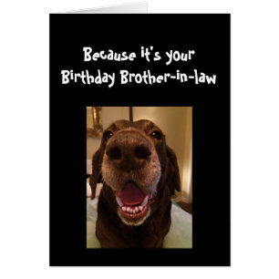 大きな鼻おもしろいの犬の誕生日Brother-in-law犬
