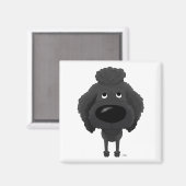 大きな鼻のプードル マグネット (正面/裏面)