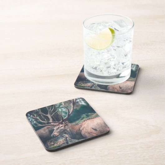 大きな〔雄ジカの〕枝角を持つ大きな茶色の鹿 コースター (右側)